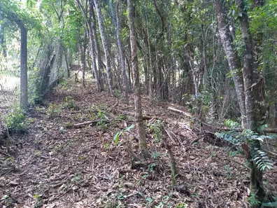 Terreno / Lote / Condomínio à venda, 1461m² no Pirucaia, Mairiporã