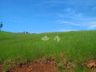 Fazenda / Sítio / Chácara com 2 Quartos à venda, 387200m² no Uraí, Uraí