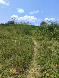 Fazenda / Sítio / Chácara com 3 Quartos à venda, 11200m² no , Vera Cruz