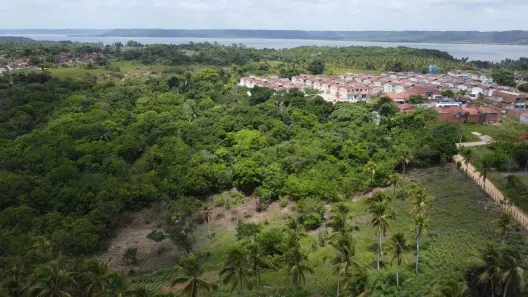 Fazenda / Sítio / Chácara à venda, 29709m² no , Marechal Deodoro