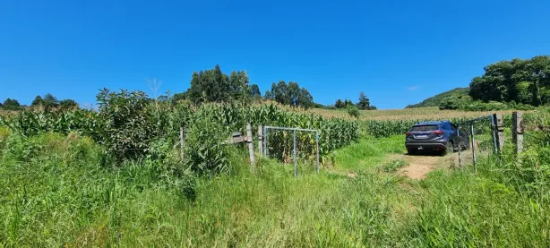 Terreno / Lote / Condomínio à venda, 24200m² no Centro, Campo Magro