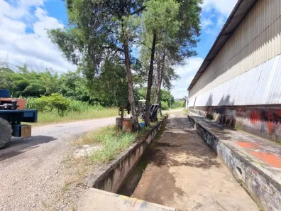Galpão / Depósito / Armazém à venda, 3100m² no Estiva, Louveira