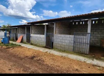 Fazenda / Sítio / Chácara à venda, 333m² no Área Rural de Santo Antônio do Descoberto, Santo Antônio do Descoberto