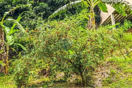 Fazenda / Sítio / Chácara com 2 Quartos à venda, 419m² no Campo Grande, Rio de Janeiro