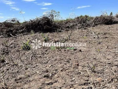 Fazenda / Sítio / Chácara com 1 Quarto à venda, 900m² no Centro, Pium