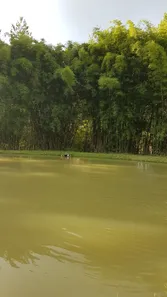 Fazenda / Sítio / Chácara com 2 Quartos à venda, 151000m² no Dos Borges, Embu-Guaçu