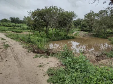 Terreno / Lote / Condomínio à venda, 20000m² no , Fortuna de Minas
