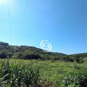 Fazenda / Sítio / Chácara com 1 Quarto à venda, 39970m² no Universitário, Cascavel