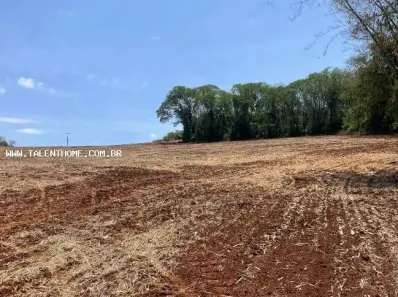 Terreno / Lote Comercial à venda, 192000m² no , Uraí