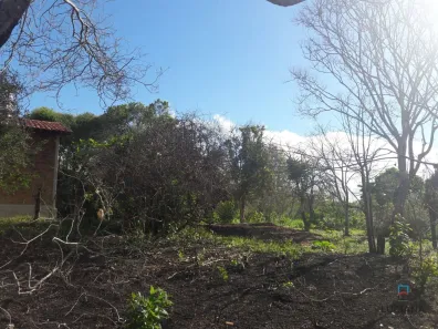 Fazenda / Sítio / Chácara com 1 Quarto à venda, 200m² no Alpes Suiços, Gravatá