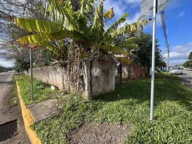 Terreno / Lote / Condomínio para alugar, 312m² no Juscelino Kubitschek, Santa Maria