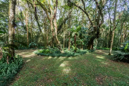 Fazenda / Sítio / Chácara à venda, 31500m² no Guarani, Colombo