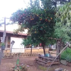 Fazenda / Sítio / Chácara à venda, 508200m² no Jardim Constância, Francisco Morato