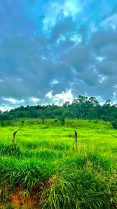 Fazenda / Sítio / Chácara à venda, 1000m² no Saboó, São Roque