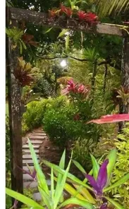 Casa com 3 Quartos à venda, 5712m² no Centro, Camaçari