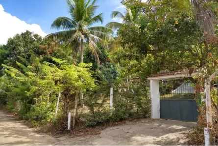 Fazenda / Sítio / Chácara com 3 Quartos à venda, 285m² no Coqueiro Seco, Coqueiro Seco