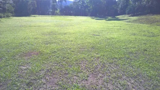 Fazenda / Sítio / Chácara com 3 Quartos à venda, 630m² no Jardim Sinki, Franco da Rocha
