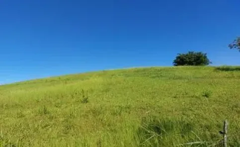 Fazenda / Sítio / Chácara com 2 Quartos à venda, 180000m² no Olaria, Nova Friburgo