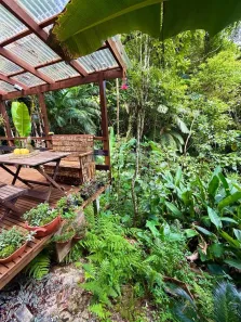 Casa com 1 Quarto à venda, 60m² no , Nova Trento