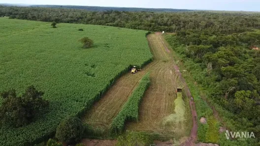 Fazenda / Sítio / Chácara à venda, 726000m² no Setor Central, Ponte Alta do Tocantins