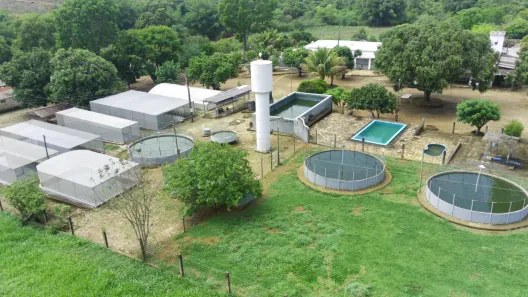 Fazenda / Sítio / Chácara com 4 Quartos à venda, 70000m² no Mansões de Recreio Estrela Dalva VII-A, Novo Gama