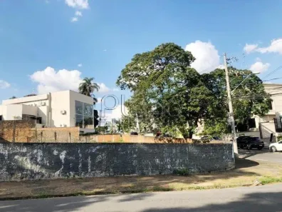 Terreno / Lote / Condomínio para venda ou aluguel, 925m² no Nova Campinas, Campinas