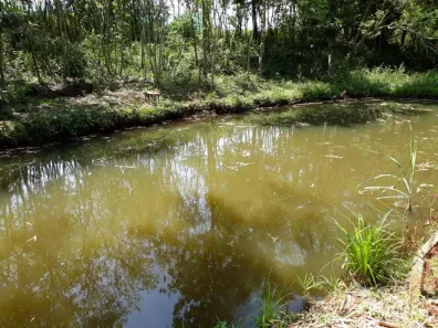 Fazenda / Sítio / Chácara com 1 Quarto à venda, 2000m² no Zona Rural, Ibiporã