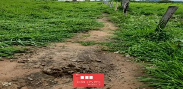 Fazenda / Sítio / Chácara à venda, 24998600m² no , Peixe
