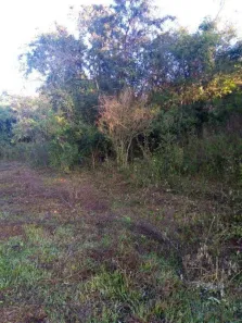 Terreno / Lote Comercial à venda, 24200m² no Pinheiro, Ibiporã