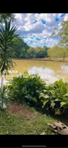 Fazenda / Sítio / Chácara à venda, 15300m² no , Catanduvas
