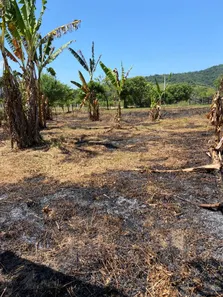 Terreno / Lote / Condomínio à venda, 3250m² no Sampaio Correia (Sampaio Correia), Saquarema
