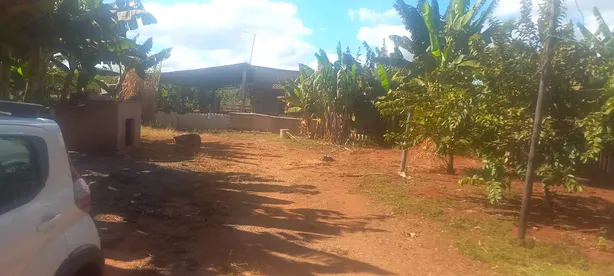 Fazenda / Sítio / Chácara com 2 Quartos à venda, 5000m² no , Brasília