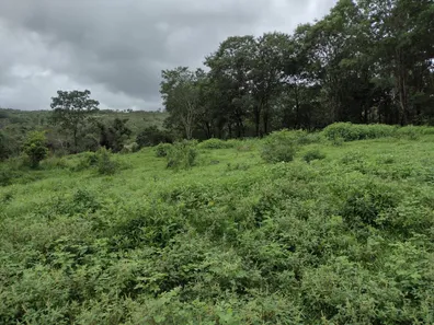 Terreno / Lote / Condomínio à venda, 20000m² no , Fortuna de Minas
