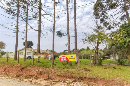 Fazenda / Sítio / Chácara com 7 Quartos à venda, 350m² no Imbuial, Colombo