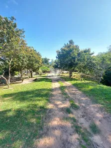 Fazenda / Sítio / Chácara com 3 Quartos à venda, 110m² no Palma, Santa Maria