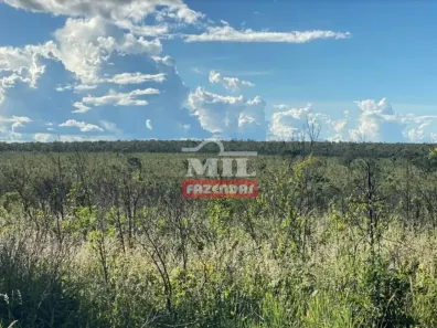 Fazenda / Sítio / Chácara à venda, 20000m² no , Guaraí