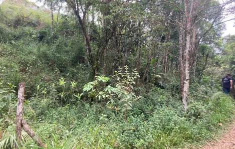 Terreno / Lote / Condomínio à venda, 4000m² no São João Batista, São João Batista