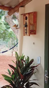 Fazenda / Sítio / Chácara com 3 Quartos à venda, 29400m² no , Brasília