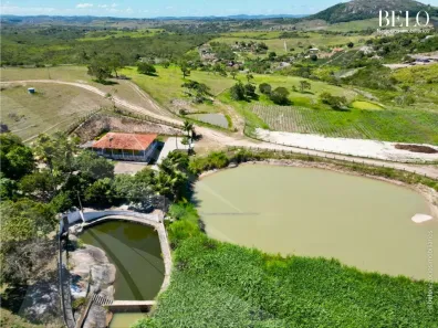 Fazenda / Sítio / Chácara com 3 Quartos à venda, 220000m² no , Sairé