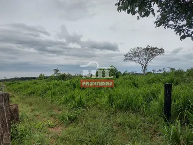 Fazenda / Sítio / Chácara à venda, 500m² no , Pium