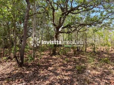 Fazenda / Sítio / Chácara à venda, 639m² no Centro, Pium