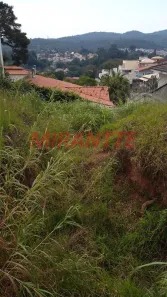 Terreno / Lote / Condomínio à venda, 462m² no Vila Albertina, São Paulo