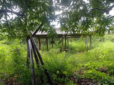 Fazenda / Sítio / Chácara à venda, 233m² no Centro, Rio Sono