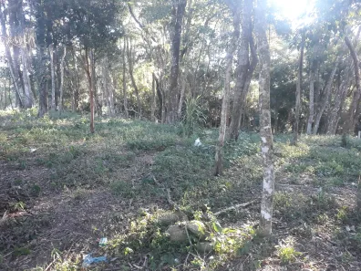 Terreno / Lote / Condomínio à venda, 1000m² no Ortizes, Piedade