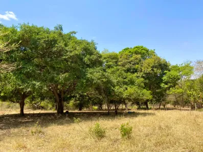 Terreno / Lote / Condomínio à venda, 27500m² no Jardim Barcelona, Bela Vista de Goiás