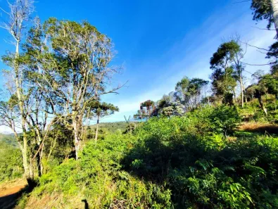Fazenda / Sítio / Chácara à venda, 30000m² no , Santa Maria do Herval