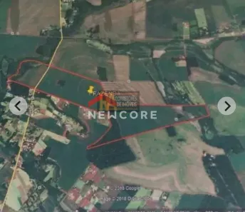 Fazenda / Sítio / Chácara à venda, 89600000m² no Centro, Foz do Iguaçu