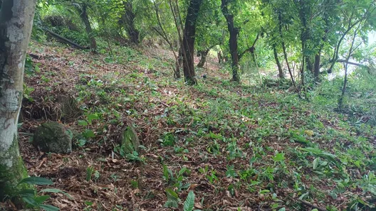 Terreno / Lote / Condomínio à venda, 1000m² no São Bento, Angra dos Reis