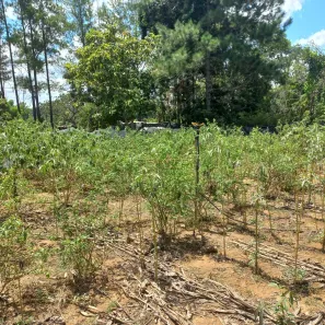 Terreno / Lote / Condomínio à venda, 500m² no Setor Lagoa Quente, Caldas Novas