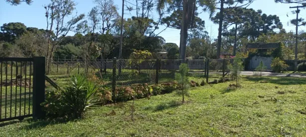 Fazenda / Sítio / Chácara com 4 Quartos à venda, 3200m² no Campo Alto, Tijucas do Sul